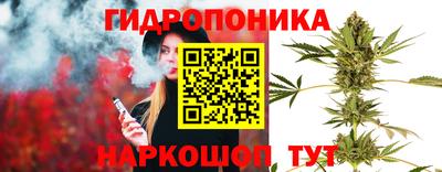 ПСИЛОЦИБИНОВЫЕ ГРИБЫ Кулебаки