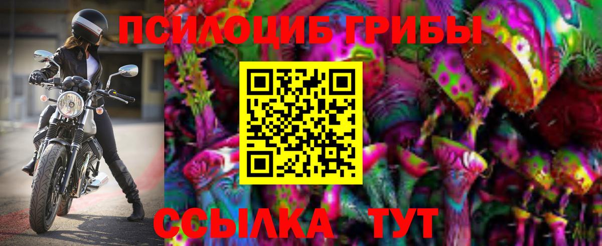цена   Вход с VPN  Карачаевск  Галлюциногенные грибы GOLDEN TEACHER 